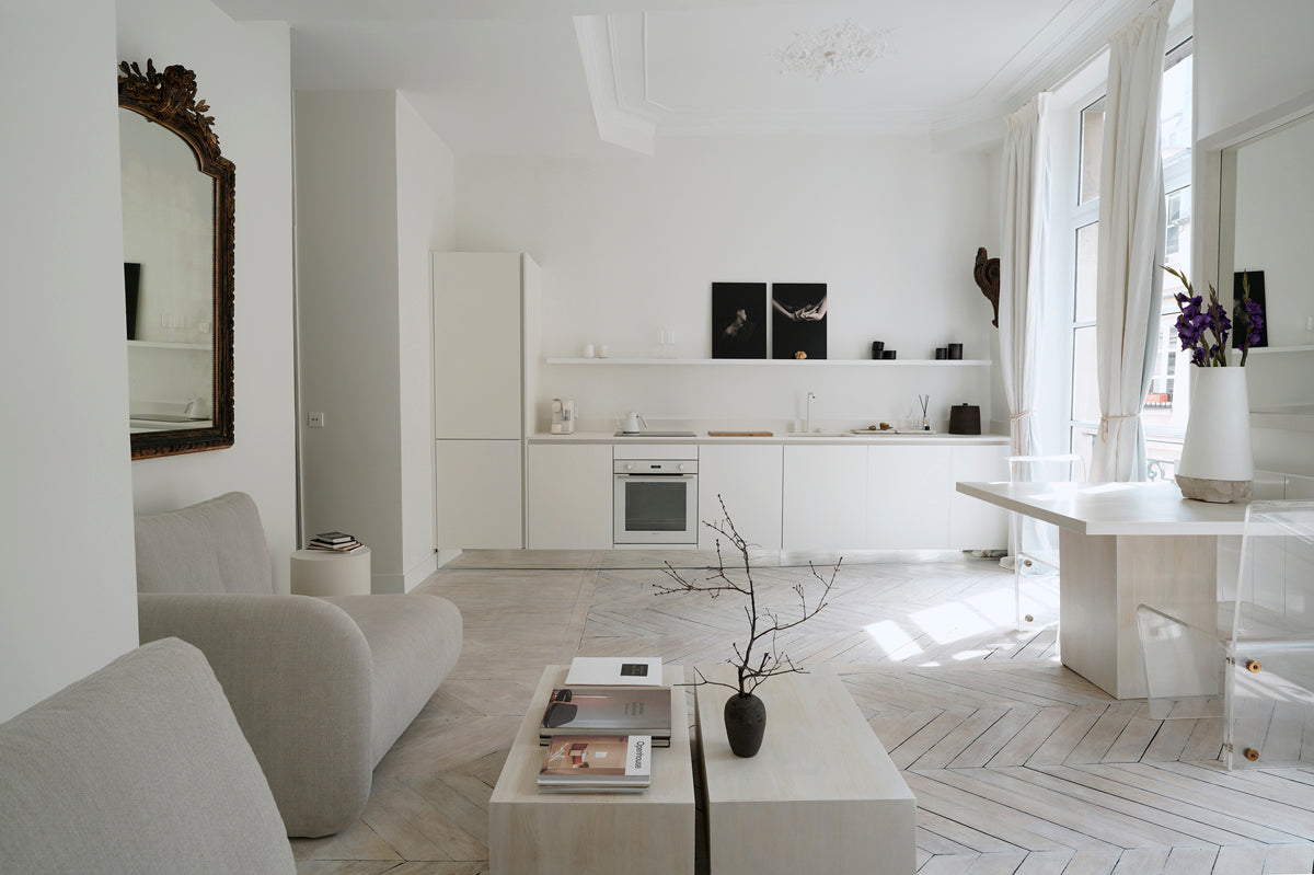Project Paris Apartment
