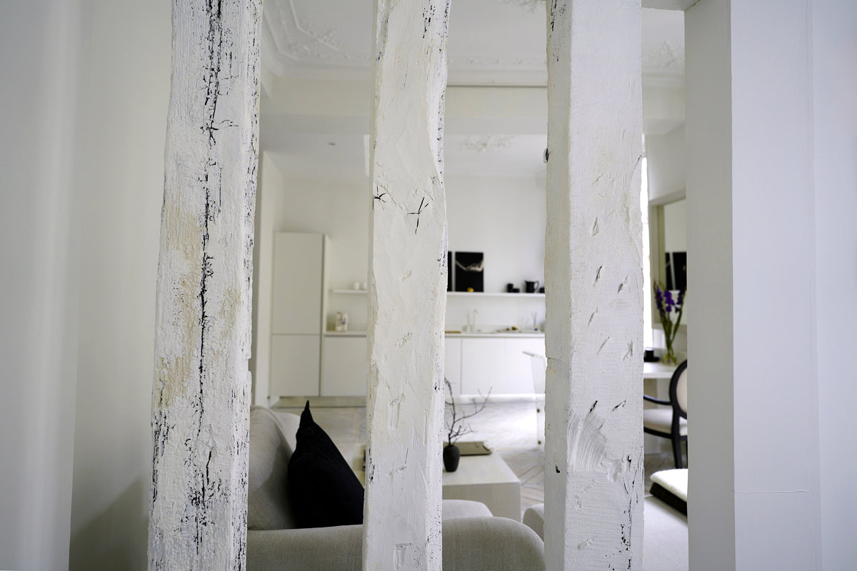 Project Paris Apartment