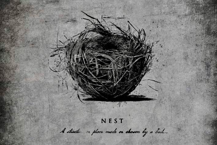 Project Nest