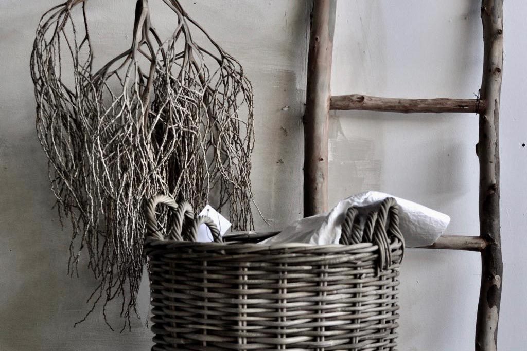 Project Nest