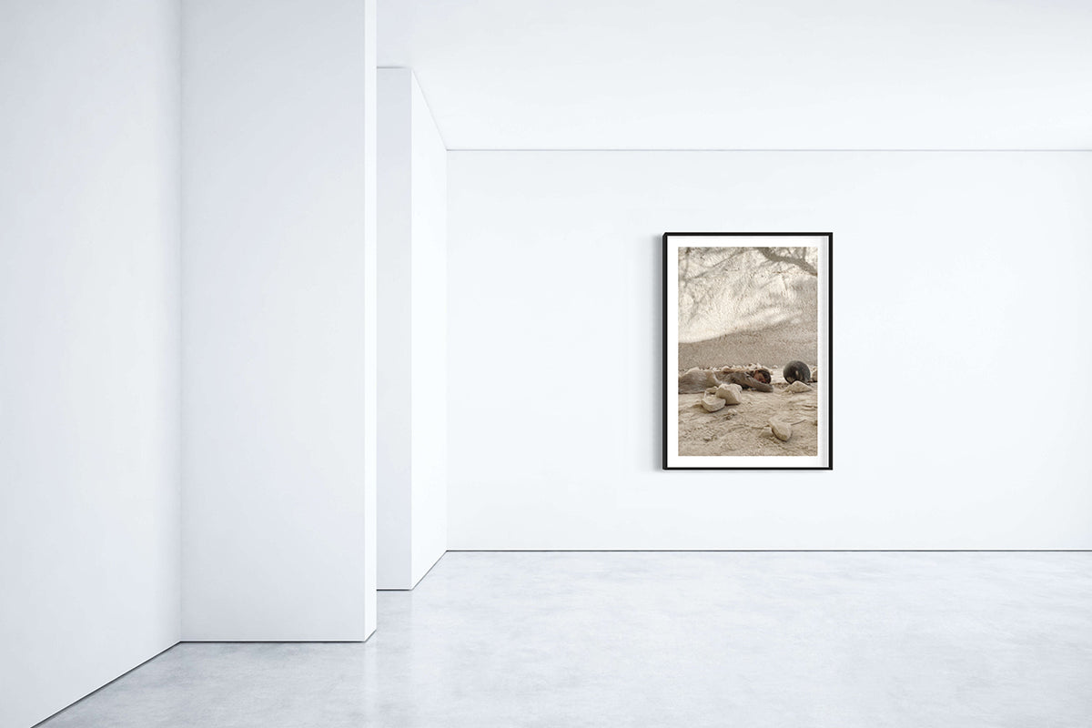Spot In The Desert #11