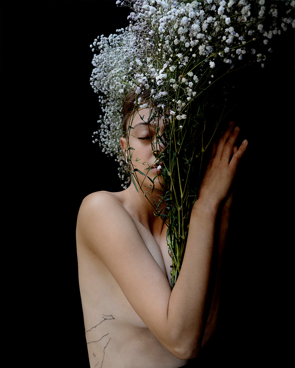 Gypsophila #2, 2023