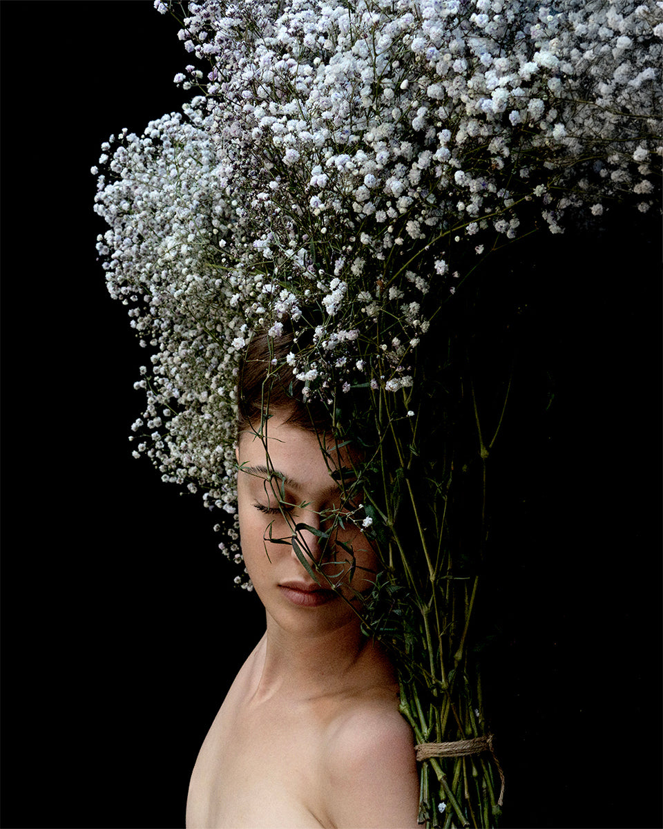 Gypsophila #3, 2023