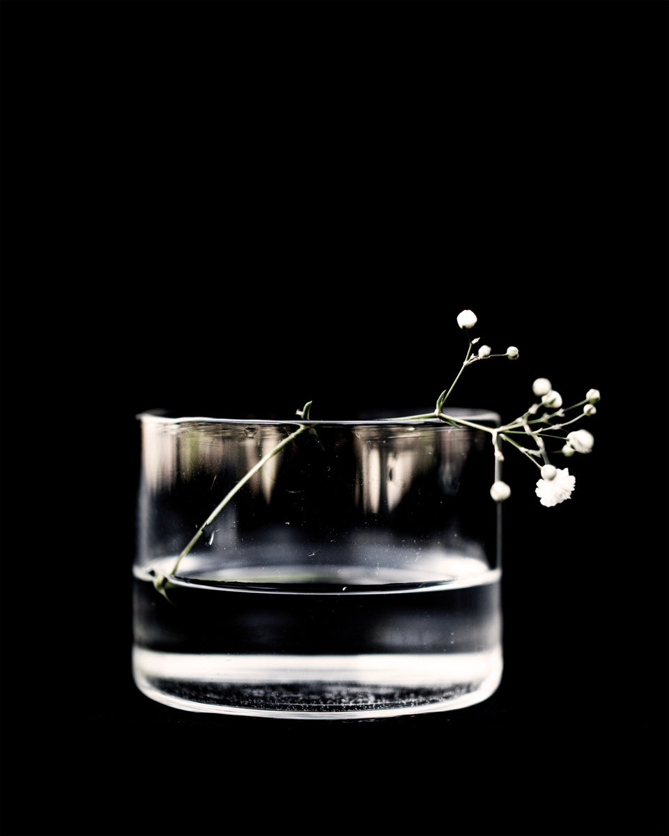 Gypsophila #5, 2024