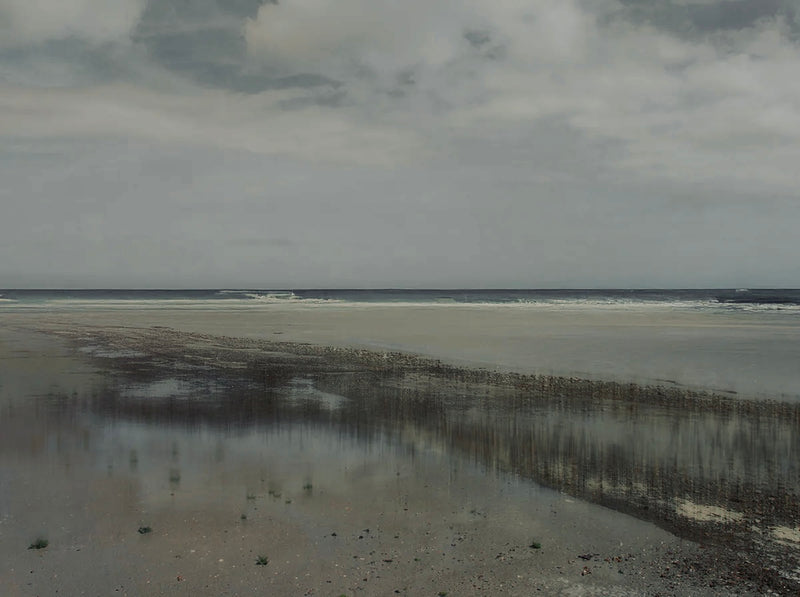 Opaque #14, 2018