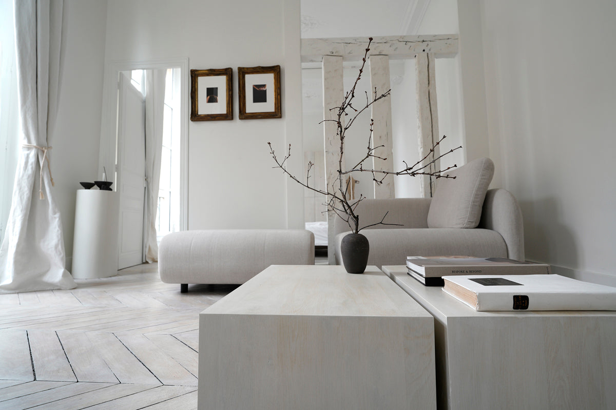 Project Paris Apartment