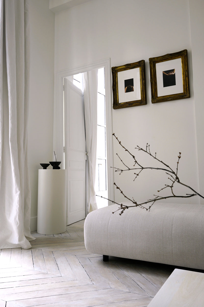 Project Paris Apartment