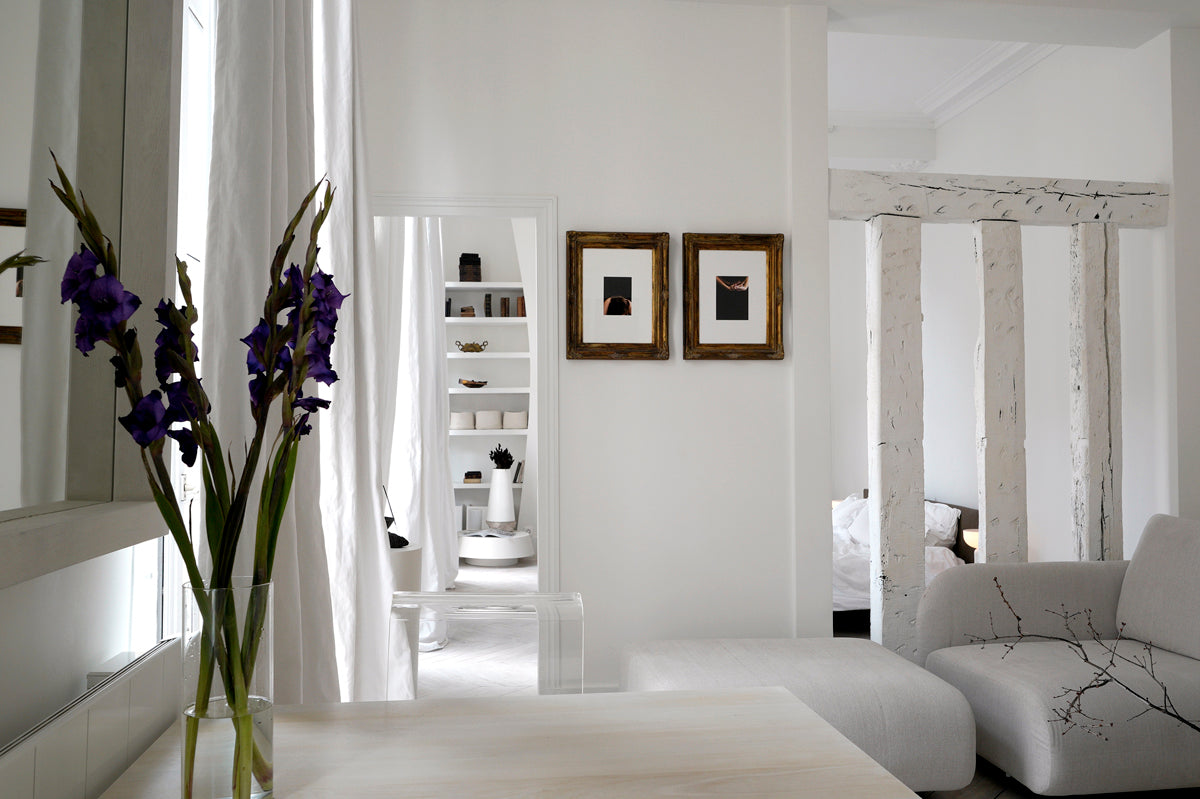 Project Paris Apartment