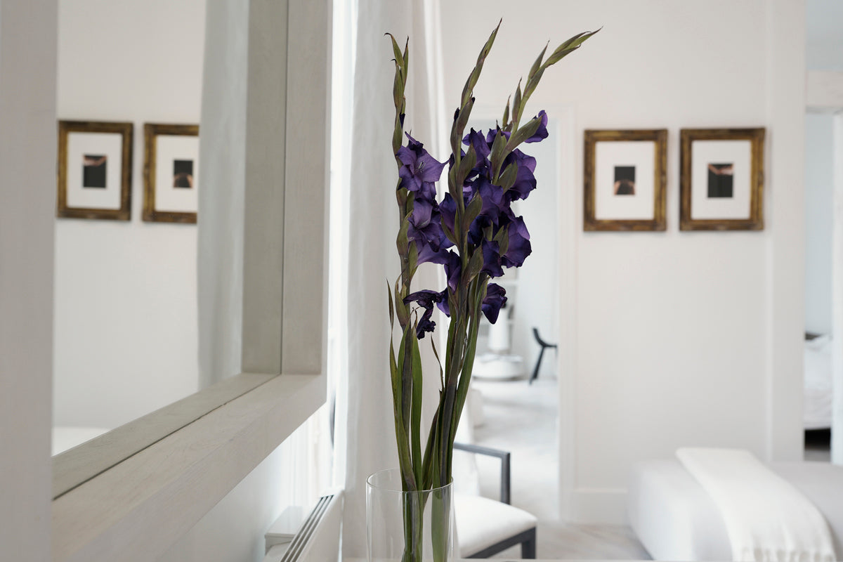 Project Paris Apartment