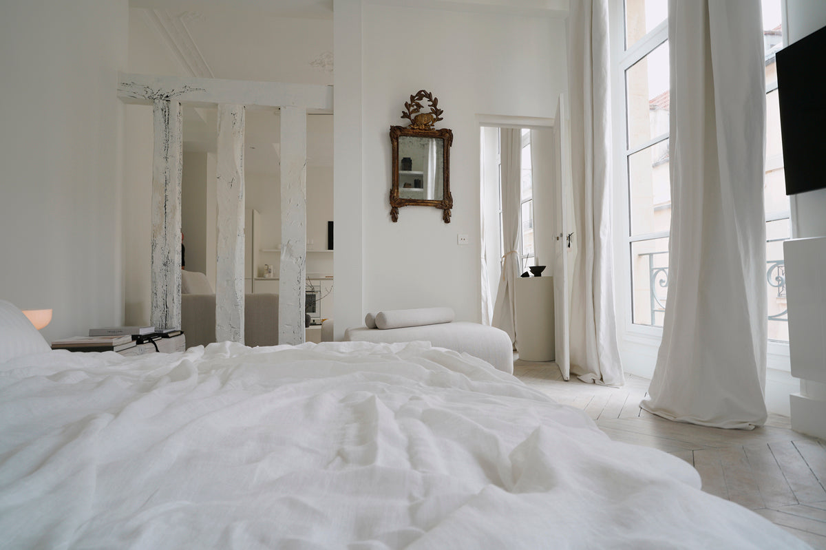 Project Paris Apartment