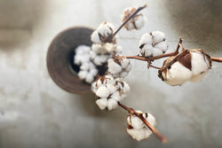 cotton bouquet